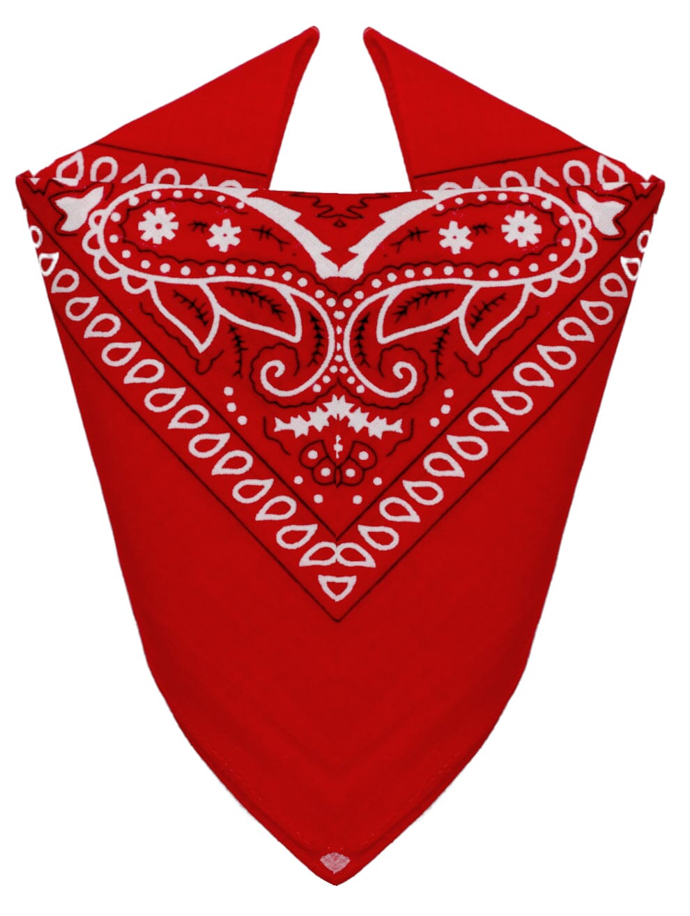 Bandanas 100% Coton avec motif Paisley pour Homme Femme Bandana